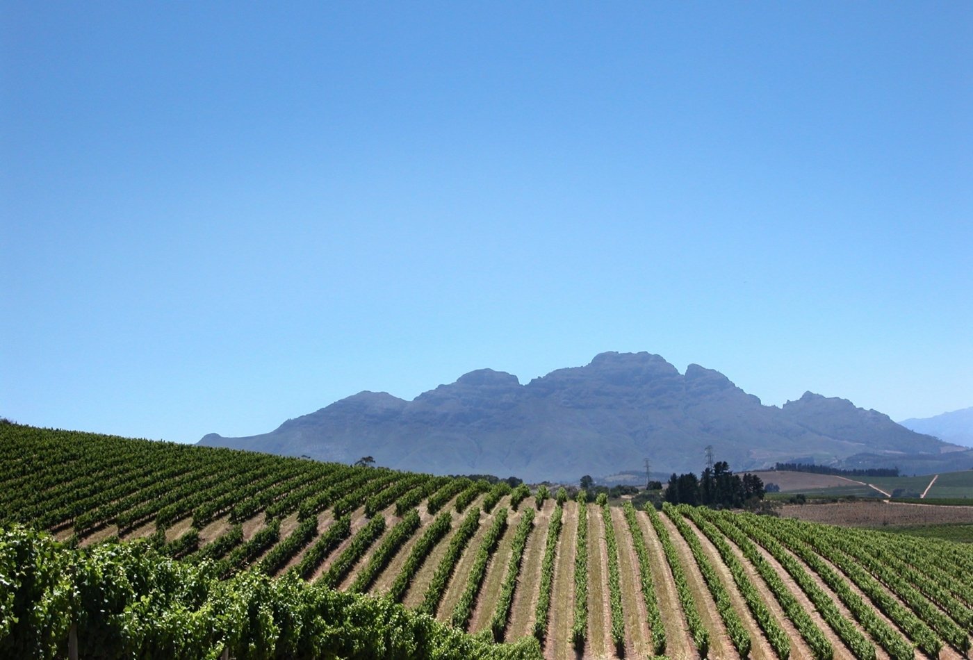south africa wine tasting - Wine Paths